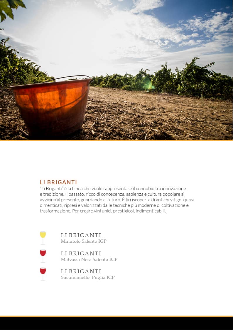 catalogo prodotti - schiena vini - pagina linea prodotti