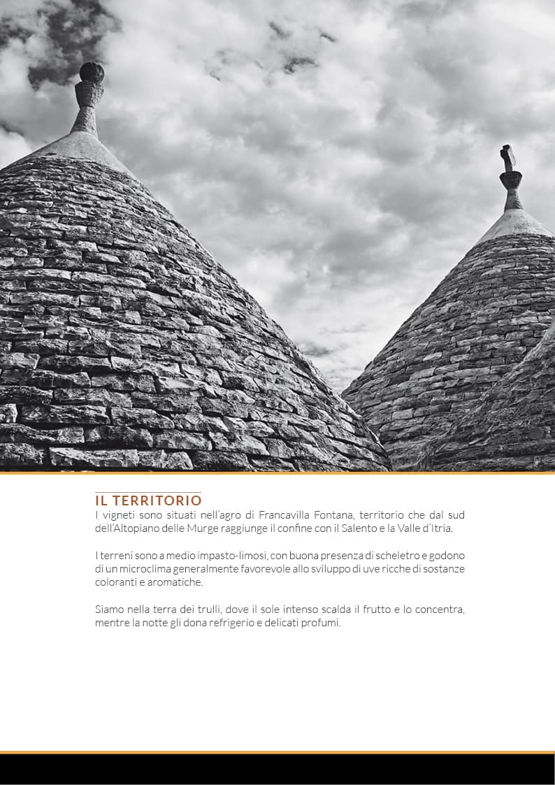 catalogo prodotti - schiena vini - pagina descrittiva