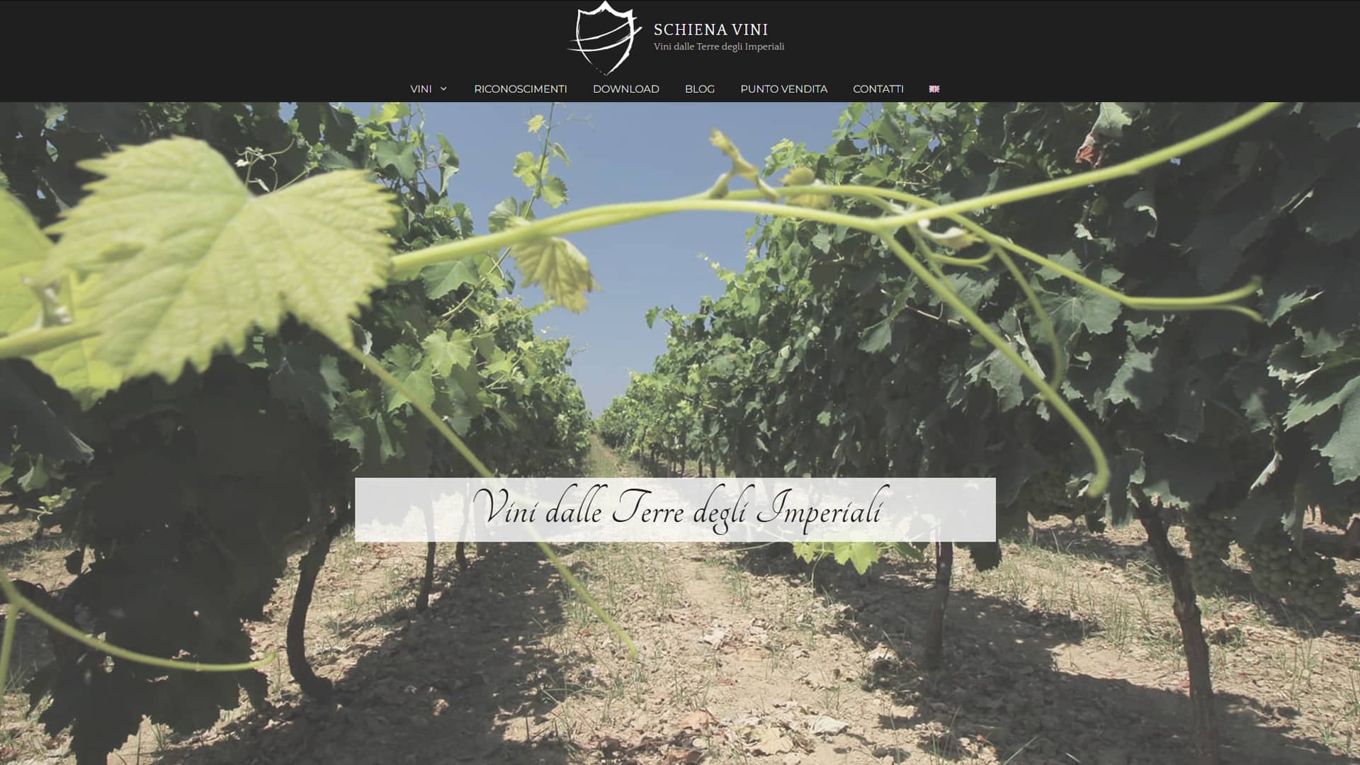 home-page schienavini